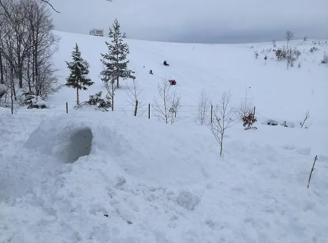 Tennis Club Zlatibor
